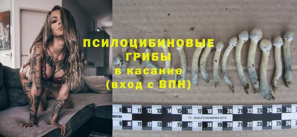 спиды Алексеевка