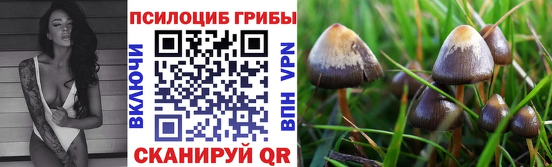 магазин продажи   ссылка на мегу ссылки  Псилоцибиновые грибы прущие грибы  Балашов 